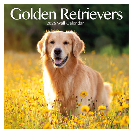 TL Turner Golden Retriever Kalender 2027