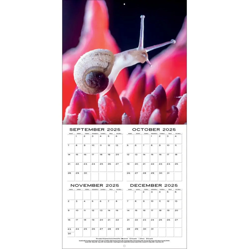 Agenda 2026 Brepols Saturnus Lima 2Dagen/1Pagina Zwart | Kantoorartikel Agenda 2026 Brepols Saturnus Lima 2Dagen/1Pagina Zwart | Kantoorartikel