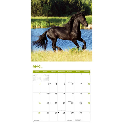 TL Turner Paarden Kalender 2027