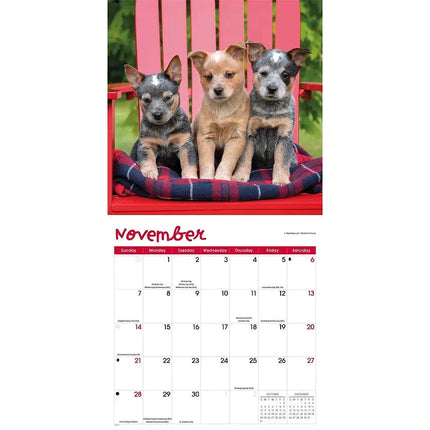 TL Turner Puppies Kalender 2027
