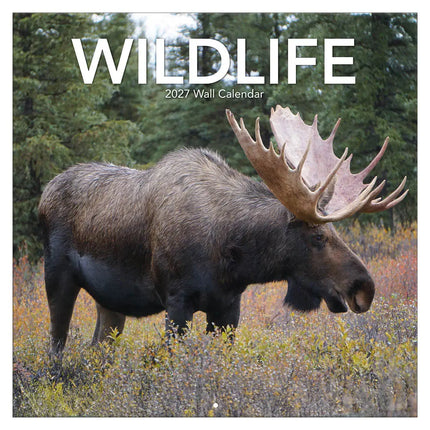 TL Turner Wildlife Kalender 2027