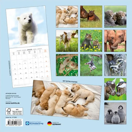 Tushita Baby Animals Kalender 2027