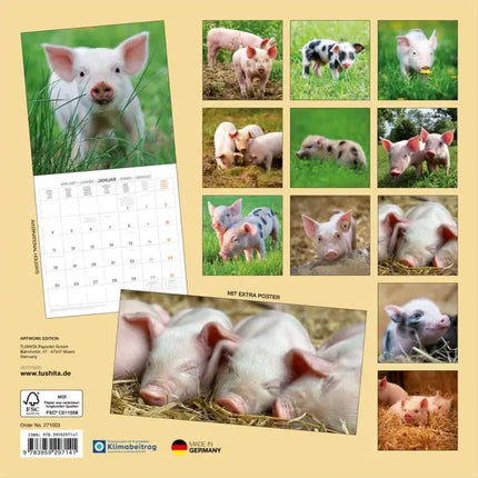Tushita Biggen Kalender 2027