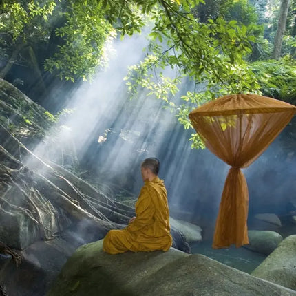 Tushita Buddhas Footprints Kalender 2027