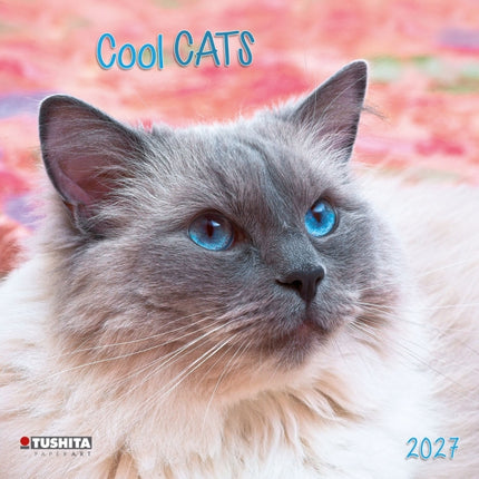 Tushita Cool Cats Kalender 2027