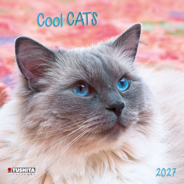 Tushita Cool Cats Kalender 2027