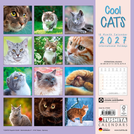 Tushita Cool Cats Kalender 2027