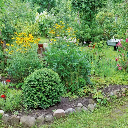 Tushita Cottage Garden Kalender 2027
