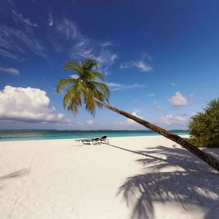 Tushita Dream Islands Kalender 2027