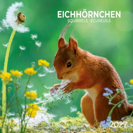 Tushita Eekhoorn Kalender 2027