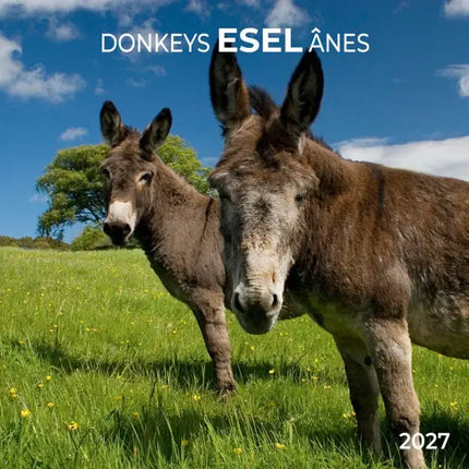 Tushita Ezel Kalender 2027