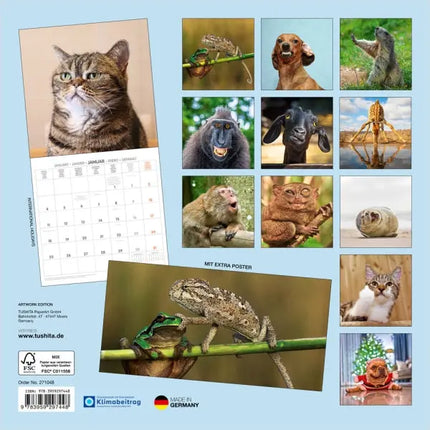 Tushita Funny Animals Kalender 2027