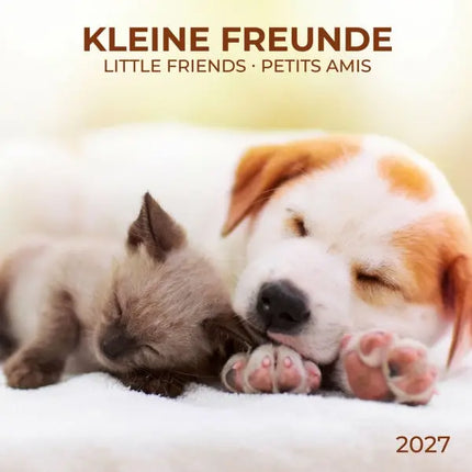 Tushita Little Friends Kalender 2027