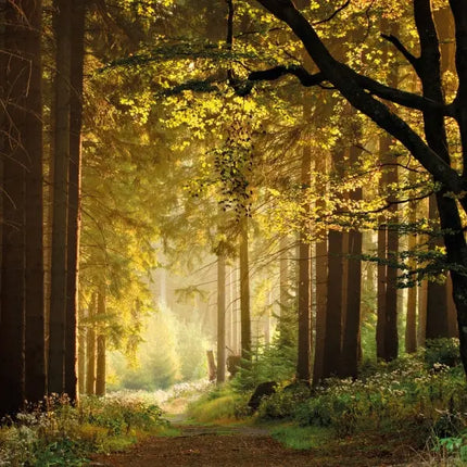 Tushita Natuur Kalender 2027