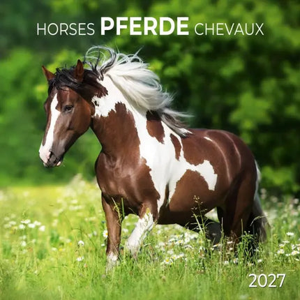 Tushita Paarden Kalender 2027