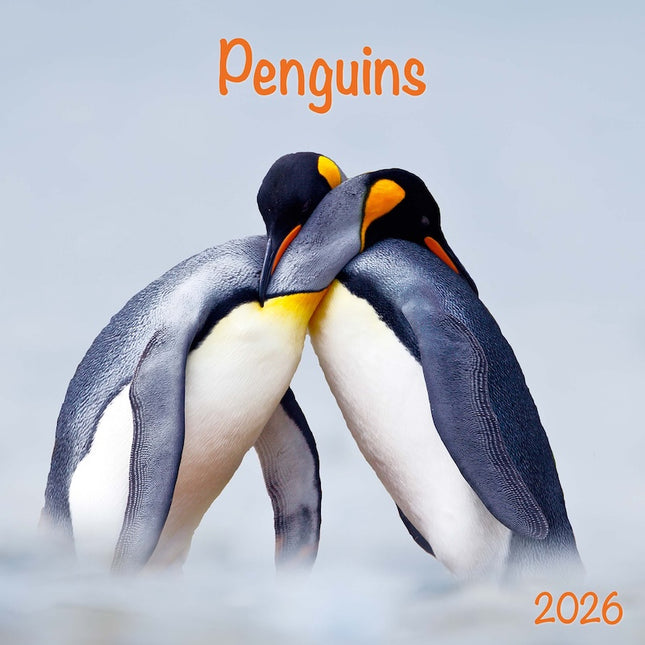 Tushita Pinguin Kalender 2026