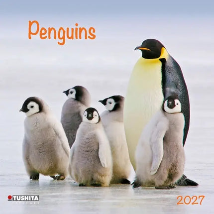 Tushita Pinguin Kalender 2027