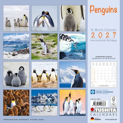 Tushita Pinguin Kalender 2027