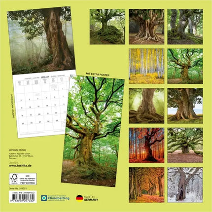 Tushita Prachtige Bomen Kalender 2027