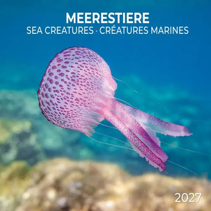 Tushita Sea Animals Kalender 2027