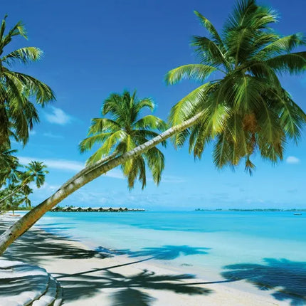 Tushita Strand en Zee Kalender 2027