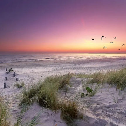 Tushita Strand en Zee Kalender 2027