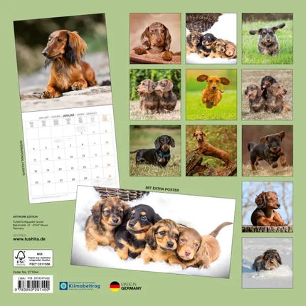 Tushita Teckel Kalender 2027