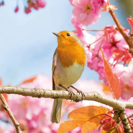 Tushita Vogels Kalender 2027