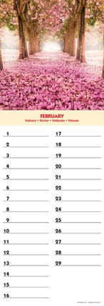 Tushita Ways and Alleys Verjaardagskalender