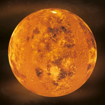 Tushita Where Stars are Born Kalender 2027