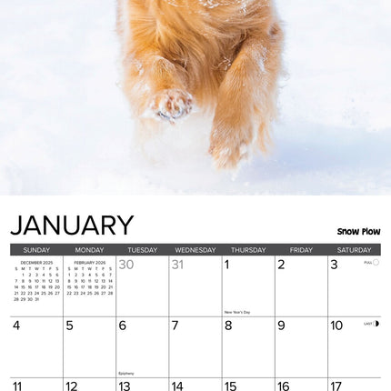 Willow Creek 12 Uses for a Golden Kalender 2026