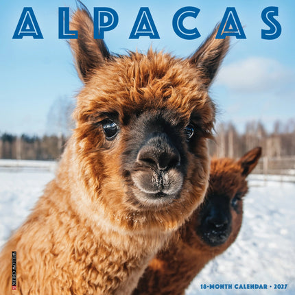 Willow Creek Alpacas Kalender 2027