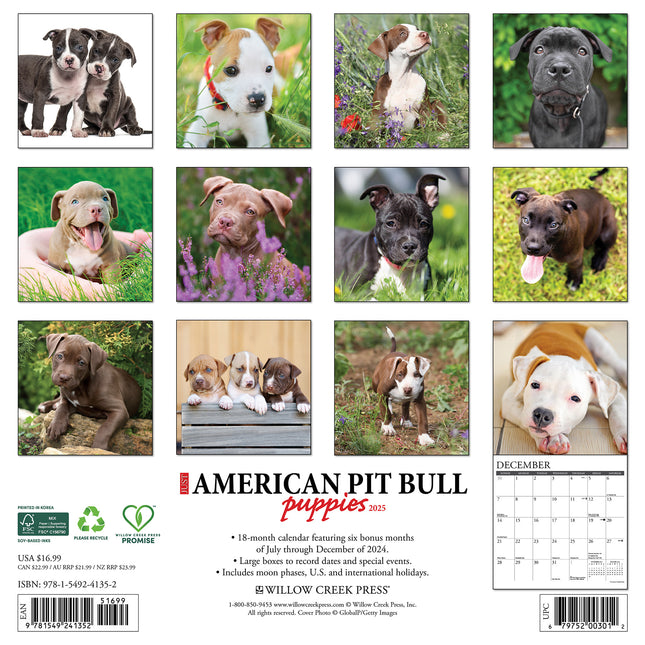 Willow Creek American Pit Bull Terrier Puppies Kalender 2025
