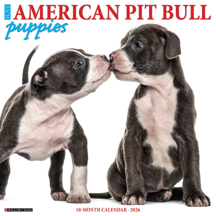 Willow Creek American Pit Bull Terrier Puppies Kalender 2027