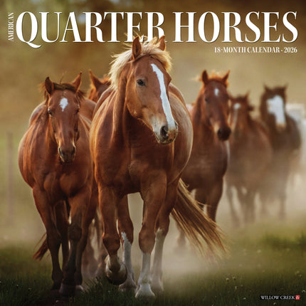 Willow Creek American Quarter Horse Kalender 2026