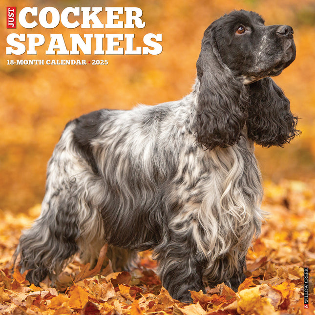 Willow Creek Amerikaanse Cocker Spaniel Kalender 2025