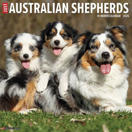 Willow Creek Australian Shepherd Kalender 2026