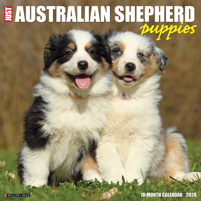 Willow Creek Australian Shepherd Puppies Kalender 2026