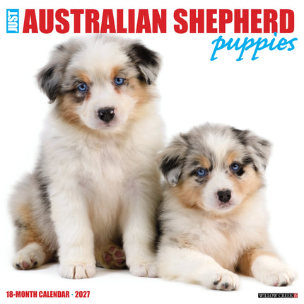 Willow Creek Australian Shepherd Puppies Kalender 2026