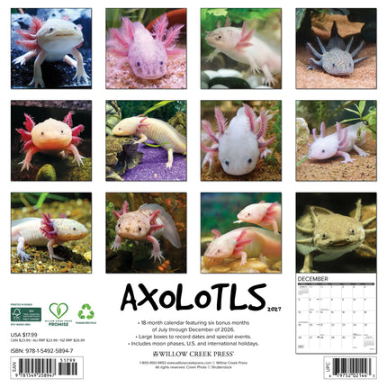Willow Creek Axolotls Kalender 2027