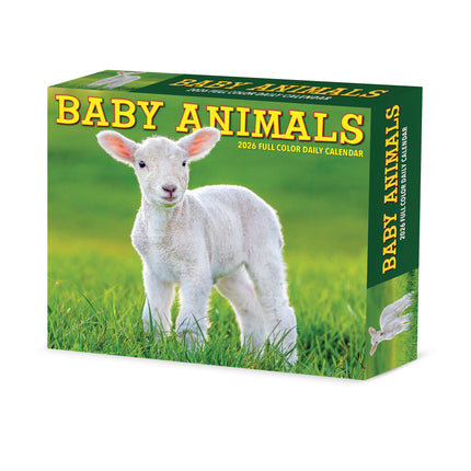 Willow Creek Baby Dieren Scheurkalender 2026 Boxed