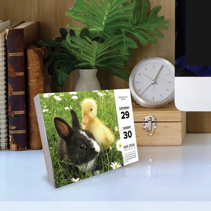 Willow Creek Baby Dieren Scheurkalender 2026 Boxed