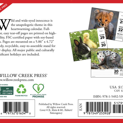 Willow Creek Baby Dieren Scheurkalender 2026 Boxed