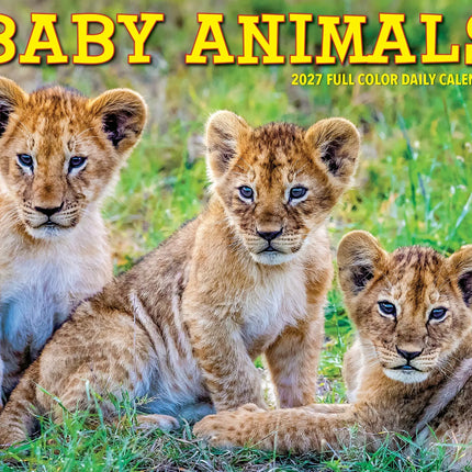 Willow Creek Baby Dieren Scheurkalender 2027 Boxed