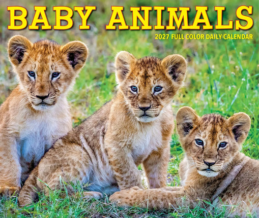 Willow Creek Baby Dieren Scheurkalender 2027 Boxed