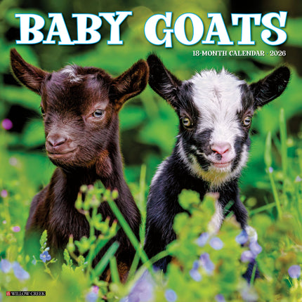 Willow Creek Baby Geitjes Kalender 2026