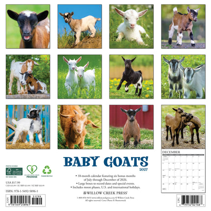 Willow Creek Baby Geitjes Kalender 2027