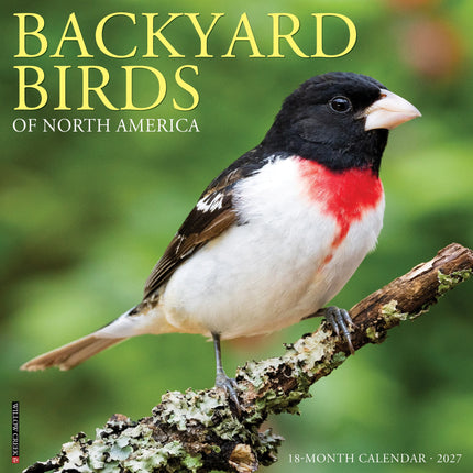 Willow Creek Backyard Birds of North America Kalender 2027