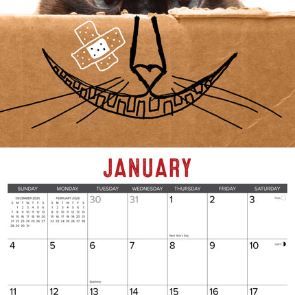Willow Creek Bad Kitties Kalender 2026