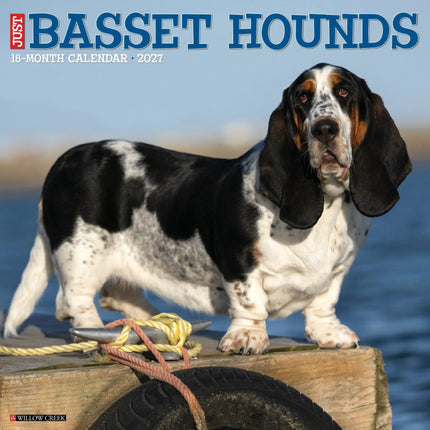 Willow Creek Basset Hound Kalender 2026